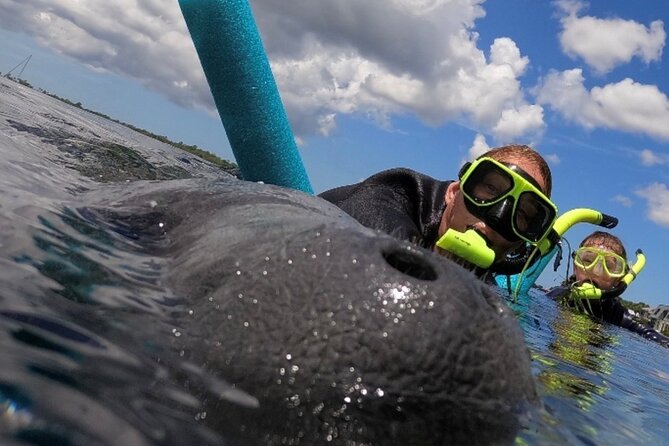 Small Group Manatee Snorkel Tour with In-Water Guide and Photographer - A simple three-hour route from Salty Siren Tours