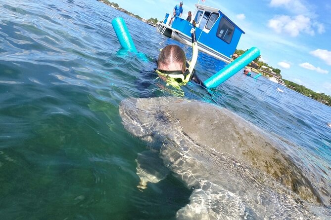 Small Group Manatee Snorkel Tour with In-Water Guide and Photographer - Underwater photographs are a useful extra