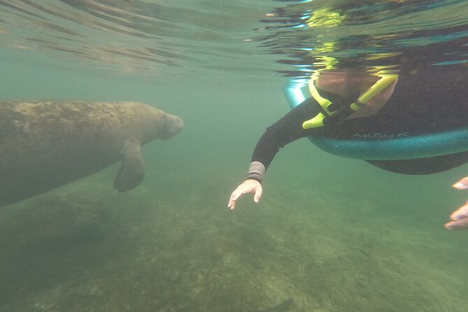 Small Group Manatee Snorkel Tour with In-Water Guide and Photographer - Is $89.99 good value?