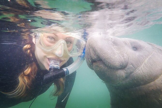 Small Group Manatee Snorkel Tour with In-Water Guide and Photographer - What passive observation really means