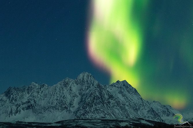 Small-Group Northern Lights Tour from Tromso with Photos - Chasing clear skies from Tromsø after 6 p.m.