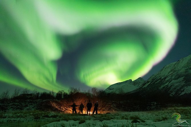Small-Group Northern Lights Tour from Tromso with Photos - A long night in a small minibus