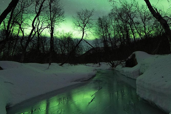 Small-Group Northern Lights Tour from Tromso with Photos - Fires, cake, and the fight against Arctic cold