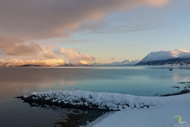 Small-Group Norwegian Fjords Tour from Tromso with Photos - Why this Tromsø fjord tour works so well