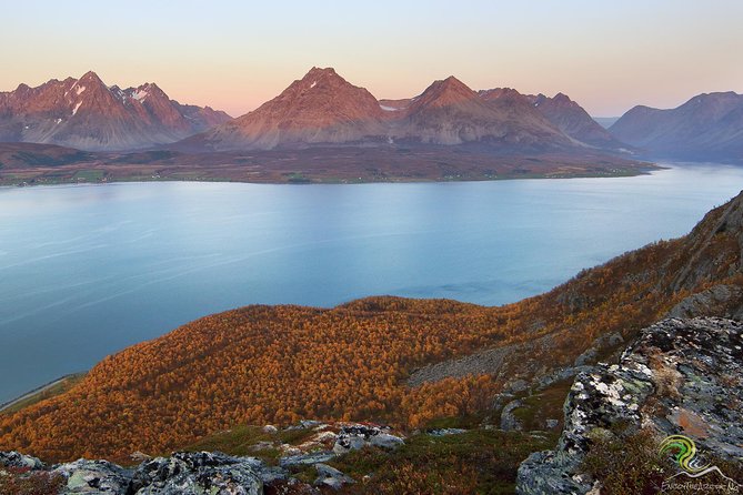 Small-Group Norwegian Fjords Tour from Tromso with Photos - Beaches, mountains, lakes, and open water