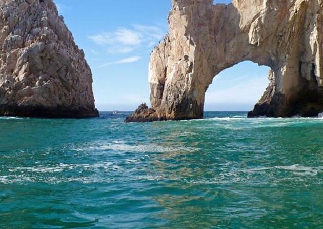 SMALL GROUP Whale Watch | Cabo San Lucas | Biologist | FREE Pics - Key points before you book