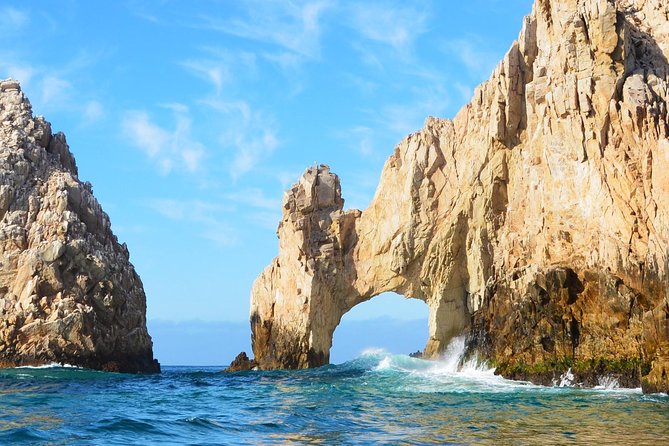 SMALL GROUP Whale Watch | Cabo San Lucas | Biologist | FREE Pics - Is $109 a fair price?