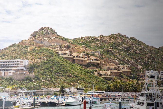 Snorkel & Explore Pelican Rock by Glass Boat + Photos - Pelican Rock snorkeling and the marine life