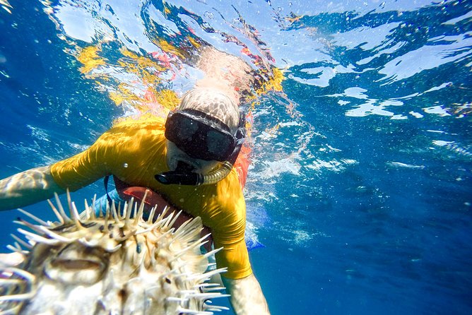 Snorkel & Explore Pelican Rock by Glass Boat + Photos - Photos, the souvenir tube, and what to expect afterward