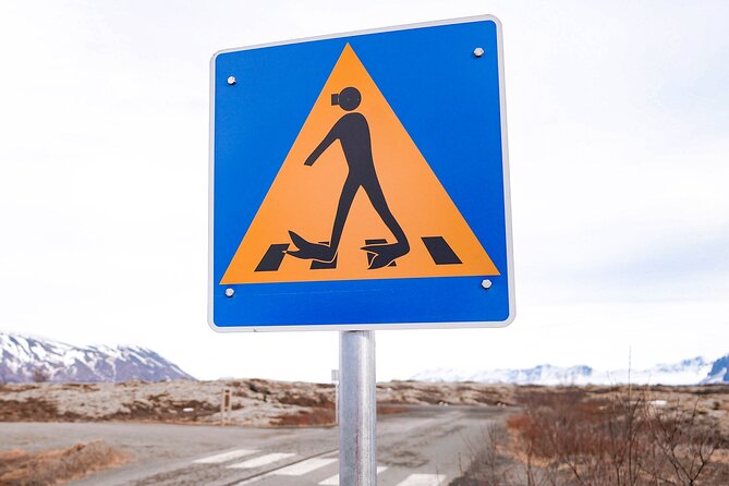 Snorkel the Silfra Fissure-Meet on Location (Free Photos & Cocoa) - What you actually see underwater
