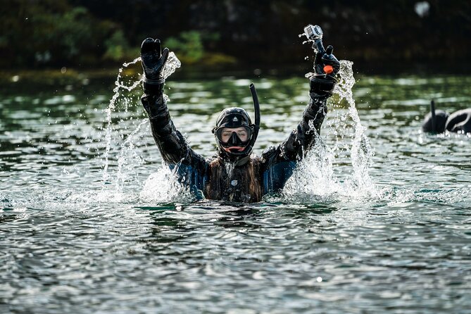 Snorkel the Silfra Fissure-Meet on Location (Free Photos & Cocoa) - Arriving at Thingvellir and getting ready