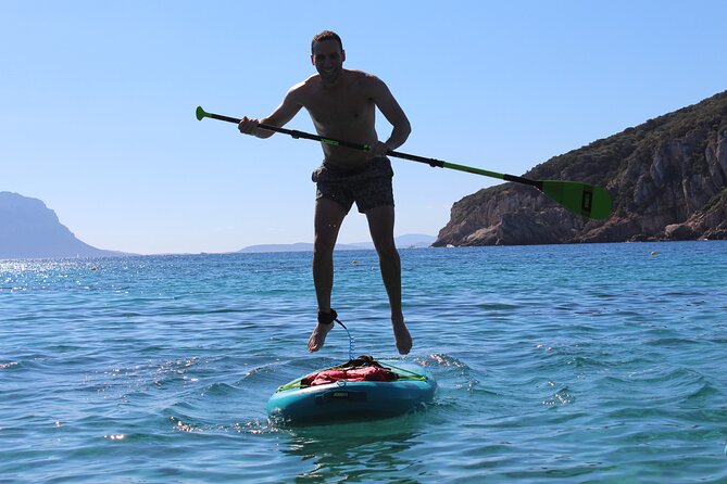 Stand Up Paddle With Dolphins, aperitif and pictures - Watching dolphins without chasing them
