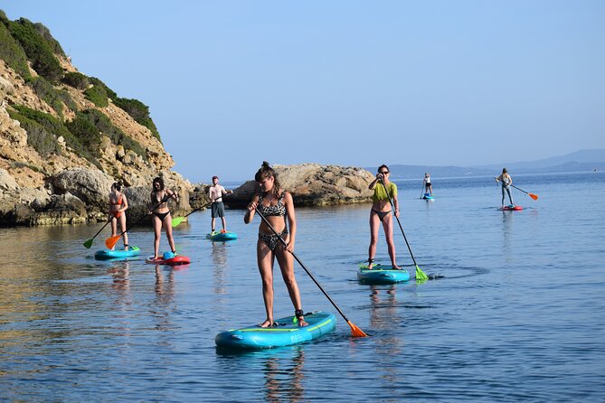 Stand Up Paddle With Dolphins, aperitif and pictures - What the $69.66 price really covers