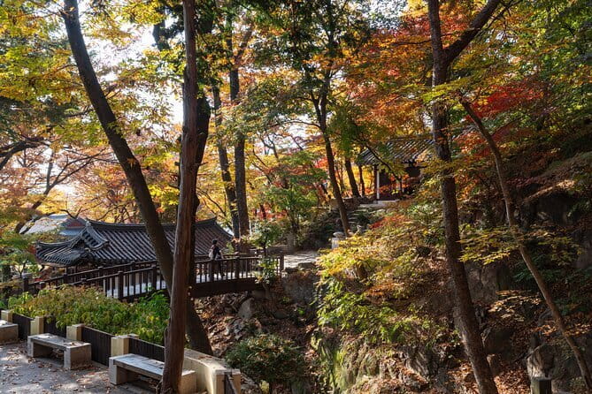 Street photoshoot and Seoul Hidden gem History Walking Tour - The guides and the balance of history and fun