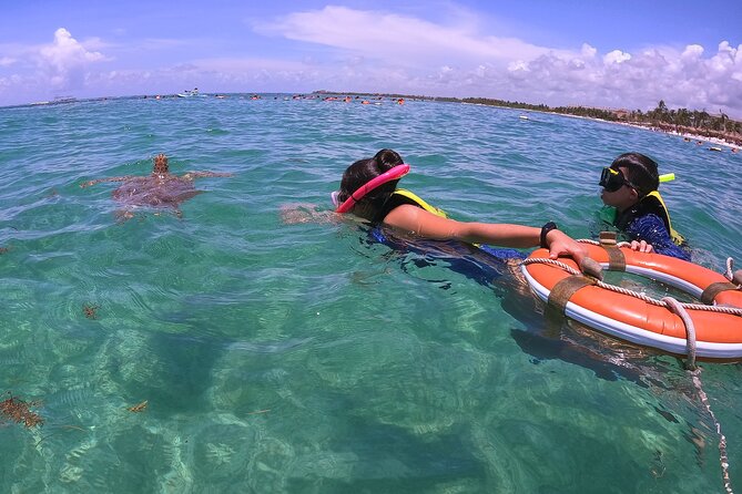 Swim with Turtles in Akumal + GoPro Photo Session - What you can see beneath the surface