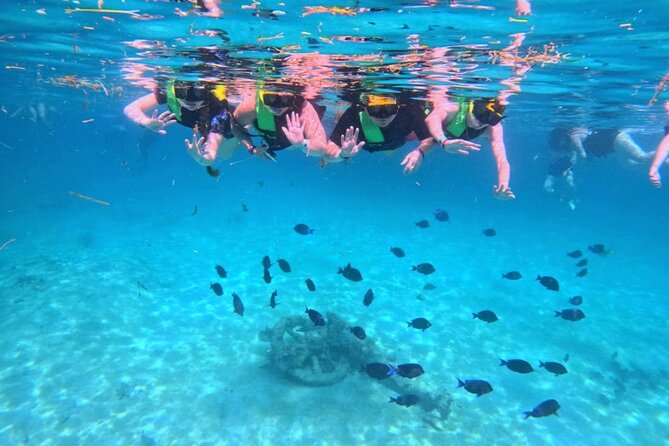 Swim with Turtles in Akumal + GoPro Photo Session - The GoPro photo session