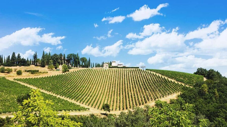 Terricciola Valdera E-Bike Tour + Wine Tasting, Photo Shoot - Riding from Terricciola into the Valdera hills