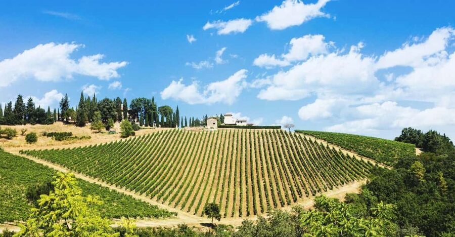Terricciola Valdera E-Bike Tour + Wine Tasting, Photo Shoot - The photo stops are part of the value