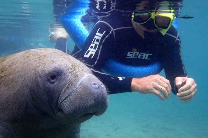 The 'OG' Manatee Snorkel Tour with In-Water Guide/Photographer - Getting into the water with your guide