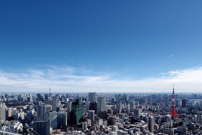 Tokyo 6hr Instagram Highlights Private Tour with Licensed Guide - Shibuya Crossing and the Hachiko statue