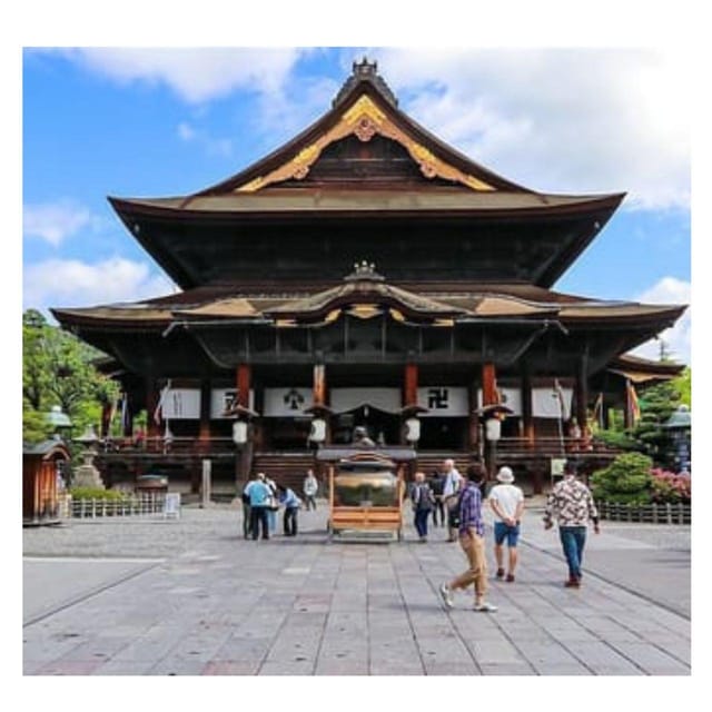 Tokyo: Instagramable Snow Monkey & Nagano Private Day Tour - Key points to know before booking