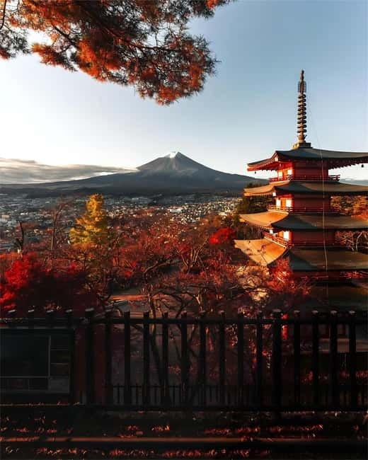 Tokyo: Mt. Fuji & Lake Kawaguchi Instagram Full Day Trip - Who will get the most from this $61 trip?