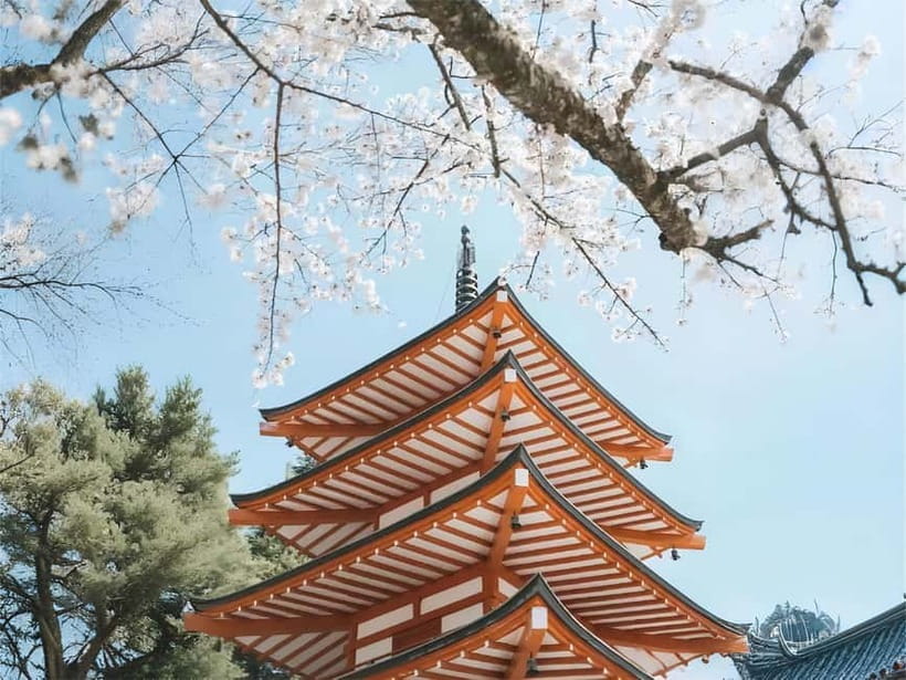 Tokyo: Mt. Fuji & Lake Kawaguchi Instagram Full Day Trip - The famous LAWSON Mount Fuji photograph