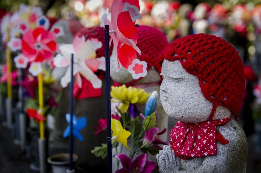 Tokyo: Photography Masterclass - Private Photo Lesson - Key points to know before you book