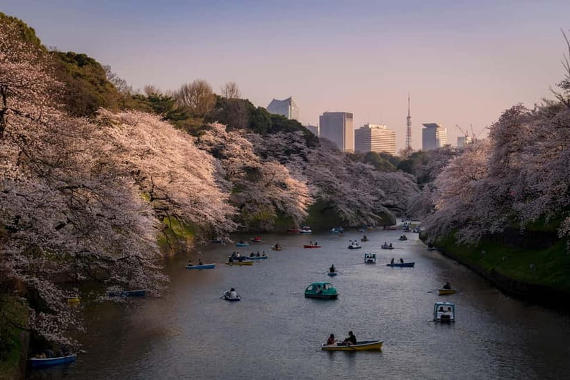 Tokyo: Photography Masterclass - Private Photo Lesson - Turning Shibuya Crossing into a photography lesson