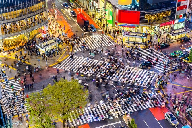 Tokyo Portrait Tour with a Professional Photographer - Key points at a glance