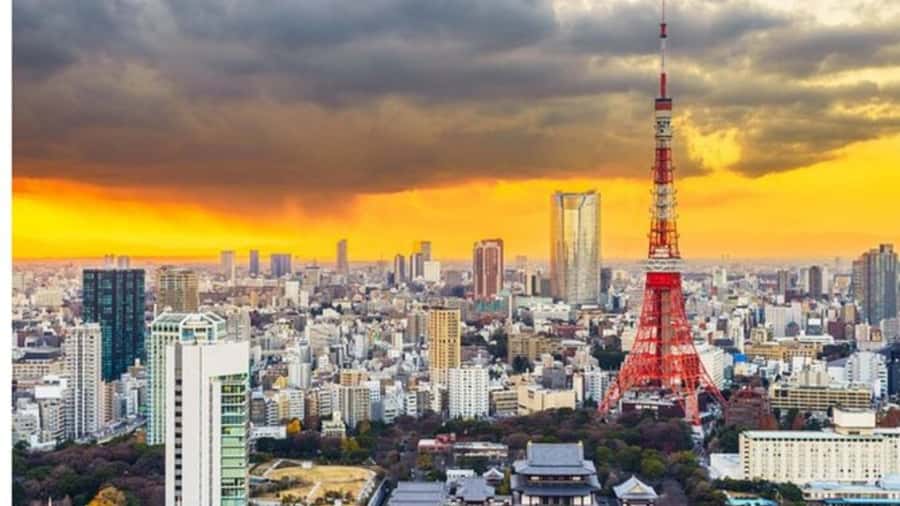 Tokyo: Private Instagramable Customised Tokyo City Day Tour - Key points at a glance