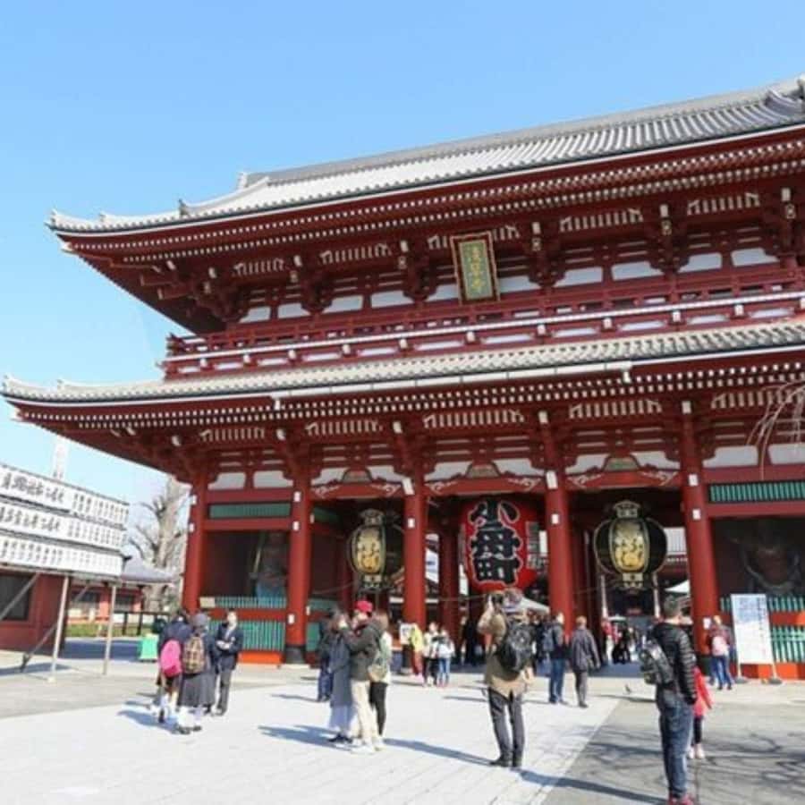 Tokyo: Private Instagramable Customised Tokyo City Day Tour - Why a private car makes sense in Tokyo