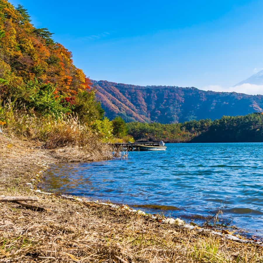Tokyo: Private Nikko World Heritage Instagramable Day Tour - Optional stops require sensible planning