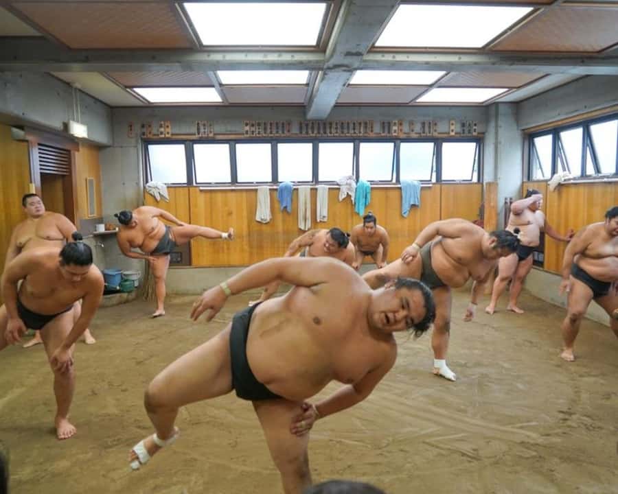 Tokyo: Sumo Practice Tour with Ring-Side Seat and Photoshoot - How the $96 price measures up