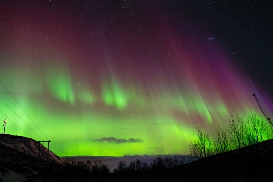 Tromsø: Aurora Tour with Photos, Campfire and Arctic Food - Who will enjoy this Tromsø night most