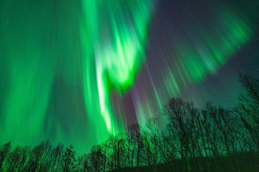 Tromsø: Aurora Tour with Photos, Campfire and Arctic Food - What the $304 price includes