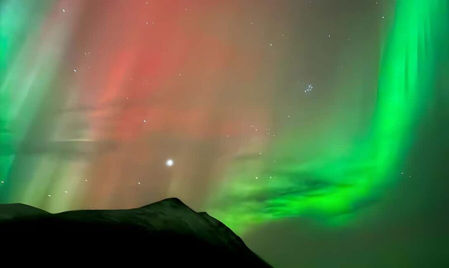 Tromsø: Northern Lights Bus Tour with Free Photography - The cold, the bus, and the practical trade-offs