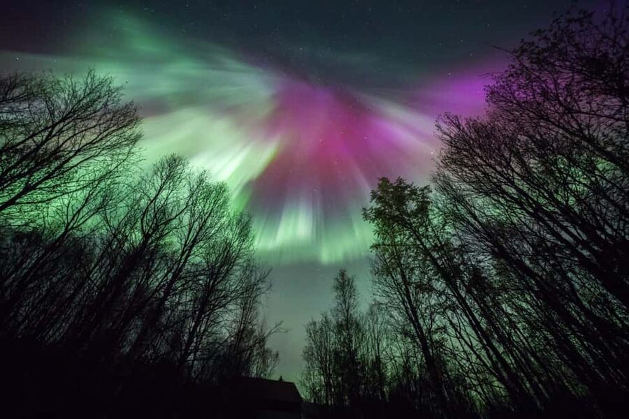Tromsø: Northern Lights Chase + Free Professional Photos - The Troms County campfire stop