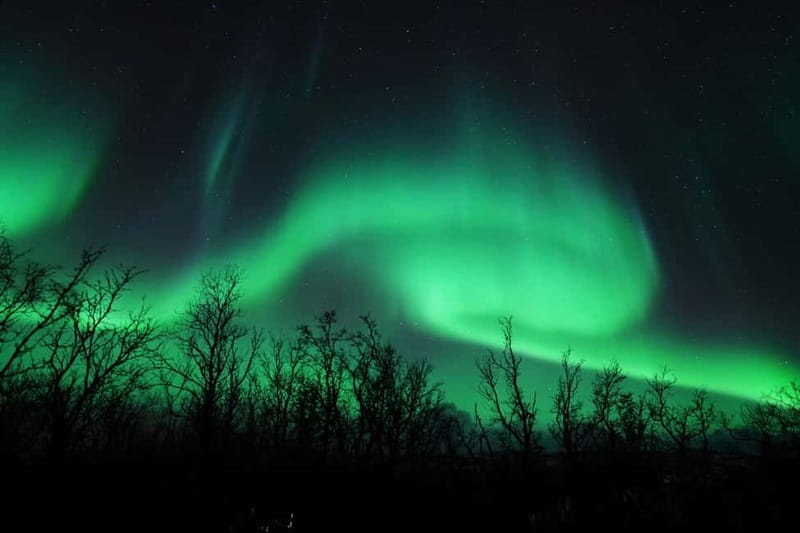 Tromsø: Northern Lights Chase with Local Guide & Free Photos - What happens at the viewing stops