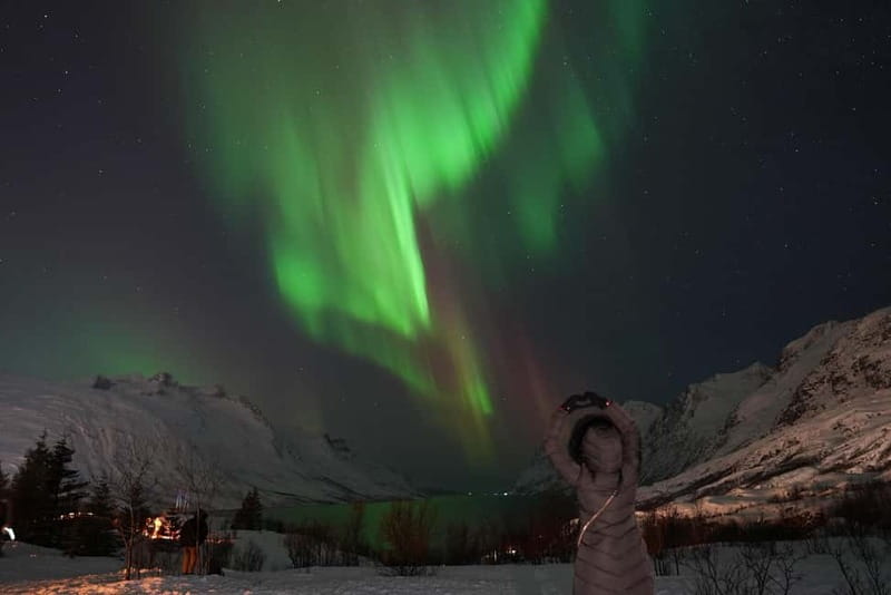 Tromsø: Northern Lights Chase with Local Guide & Free Photos - Thermal suits, hot chocolate, and the cold reality
