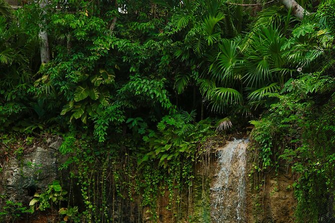 Tulum Essence Art and Photography Tour - One hour at Atik Cenote Park
