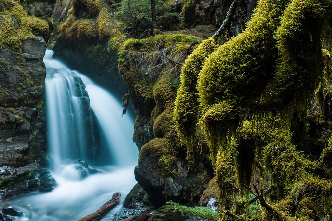 Turnagain Arm Highlights Photo Tour - Key points to know before booking