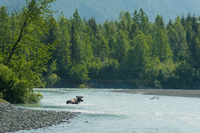 Turnagain Arm Highlights Photo Tour - Portage Valley Recreation Area: scenery becomes the main subject