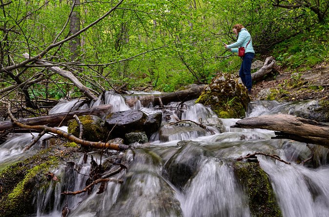 Turnagain Arm Highlights Photo Tour - Wildlife, weather, and the honest limits of the day