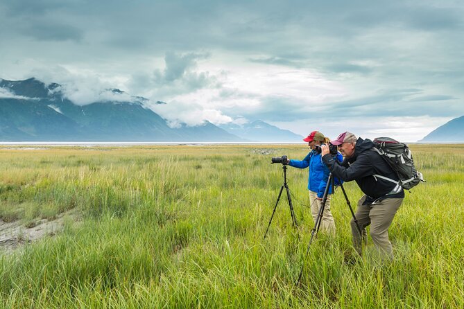 Turnagain Arm Highlights Photo Tour - Starting at 10:00 am from Anchorage