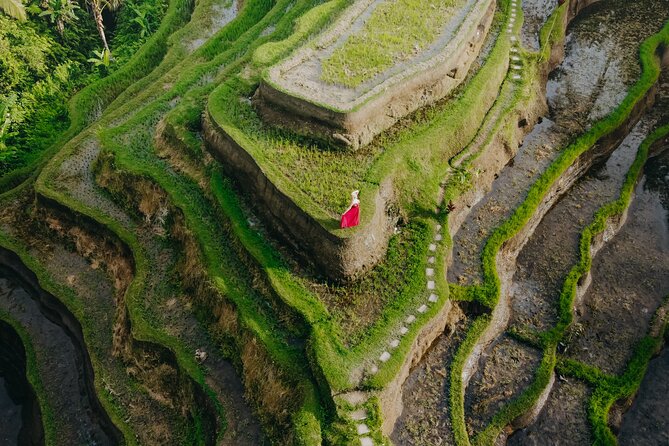 UBUD Instagram Spot Tour with Photographer - What the private transport adds