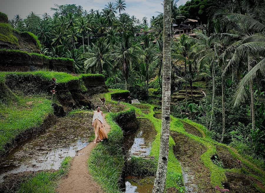 Ubud: Tegalalang Rice Terrace Photos Tour with Swing Ticket - Why the Subak explanation adds value