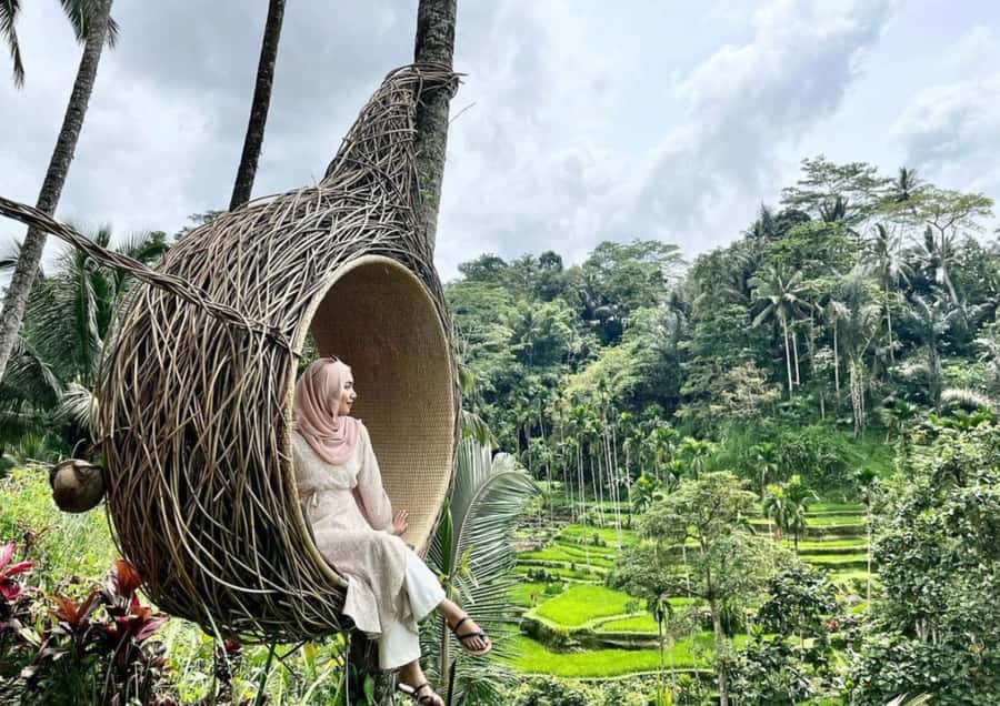 Ubud: Tegalalang Rice Terrace Photos Tour with Swing Ticket - How the duration and transport options affect the day