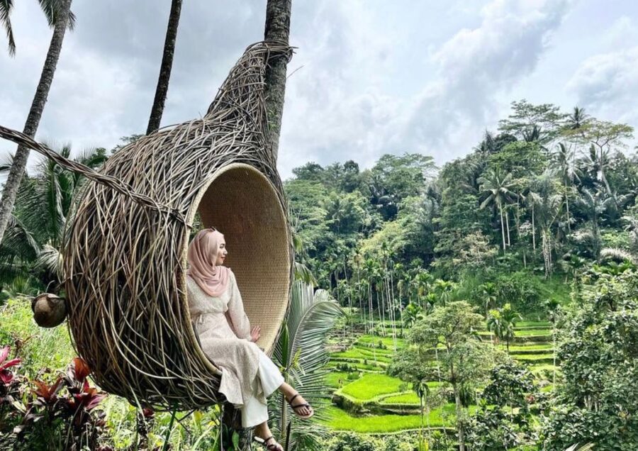 Ubud: Tegalalang Rice Terrace Photos Tour with Swing Ticket - Who will enjoy this tour most