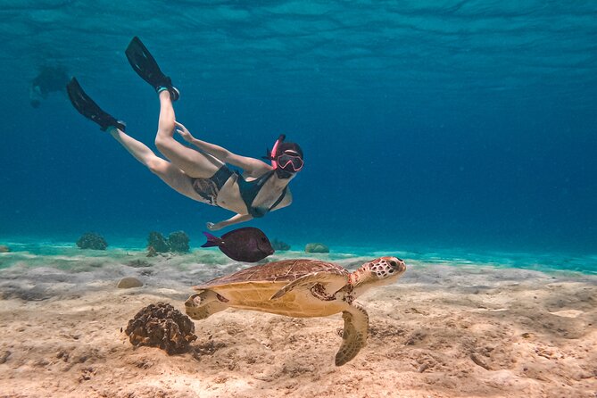 VIP Private Snorkeling Tour with Underwater Photos - Key points at a glance